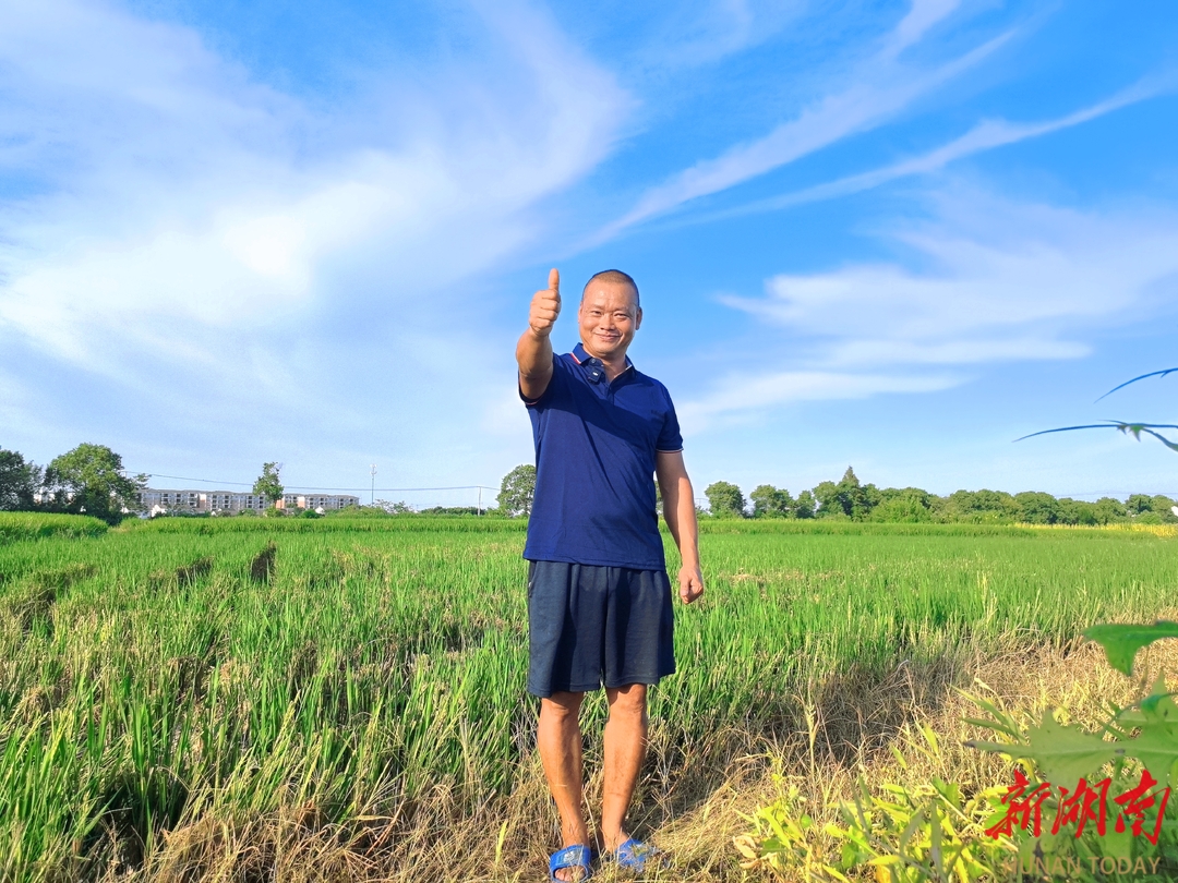 种田“小白”成了高产大咖！“斜杠中年”杨光杰第一年种植水稻亩产超1000公斤(图4)