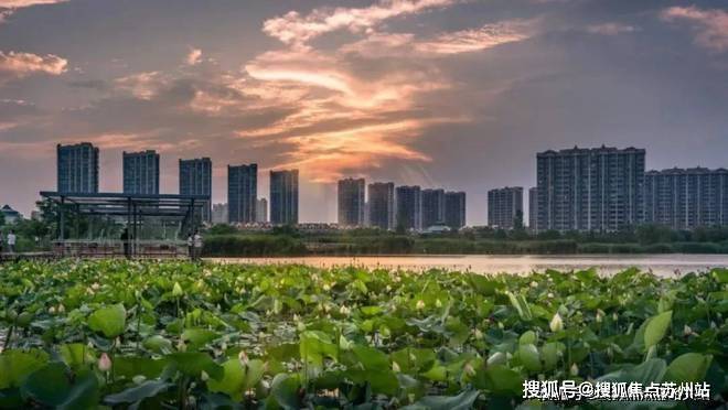 虹桥嘉悦府(嘉定)首页网站-2024楼盘评测_虹桥嘉悦府曝光最新价格配套户型(图10)