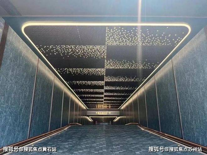 大华星曜售楼处首页网站大华星曜售楼处欢迎您-价格-配套-户型(图6)