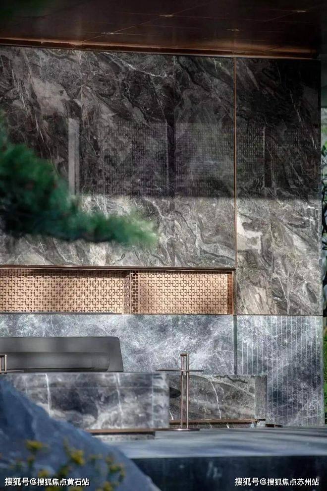 大华星曜售楼处首页网站大华星曜售楼处欢迎您-价格-配套-户型(图11)