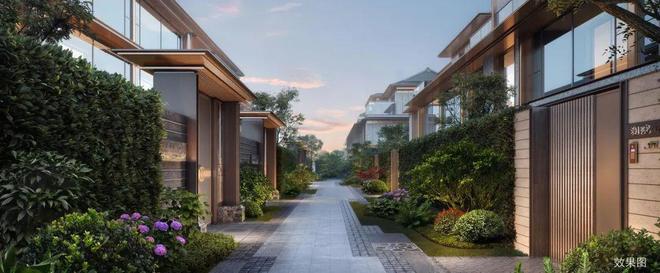 曝光!火爆全网!时隔8年科技城「封面豪宅」亮相容积率10+稀缺联排(图18)