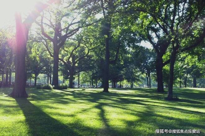 【2025官网】大华公园柏翠官方售楼处发布：公园柏翠邂逅美好生活(图11)