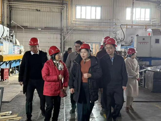 昌吉高新区携高校专家赴新铝铝业助力技术创新(图4)